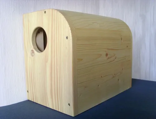 matériel en bois pour ta pratique du Yoga Iyengar