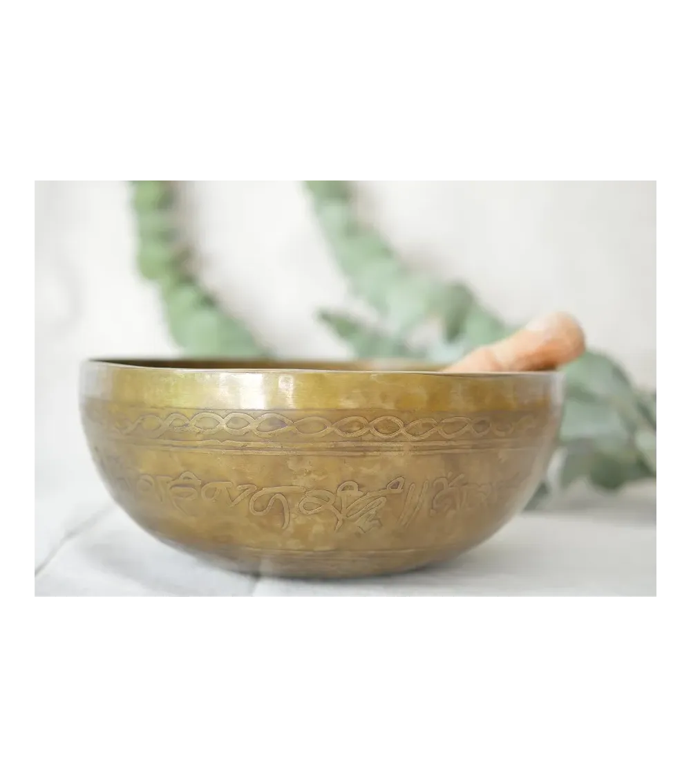 Bol chantant. Bol chantant.