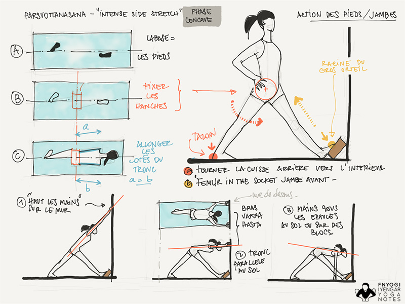 Chaturanga dandasana - Bakchich baba