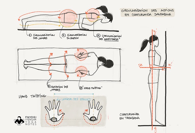Yoga Alignment Breakdown: How to Chaturanga Dandasana