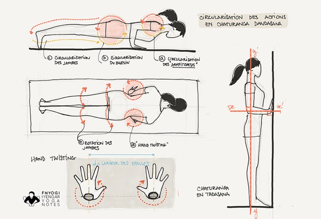 Preparation to Chaturanga Dandasana Surya Namaskar with chear preliminary  version-basic–recorded classes-16March. 2022- Italian/English - Online  Iyengar